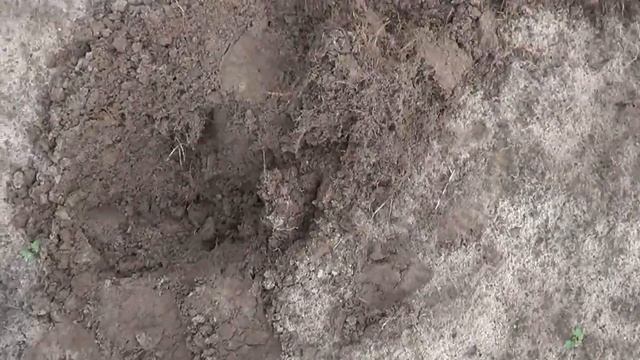 Коп с братом.Вечерние покопушки+"труба"))) смотреть онлайн