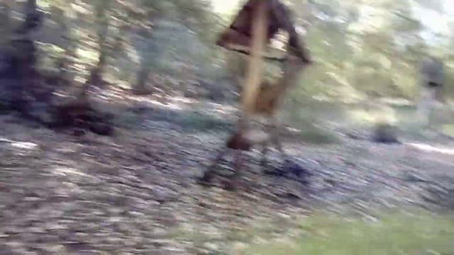 24 ЧАСА В ЛЕСУ - БЕЗ ЕДЫ смотреть онлайн