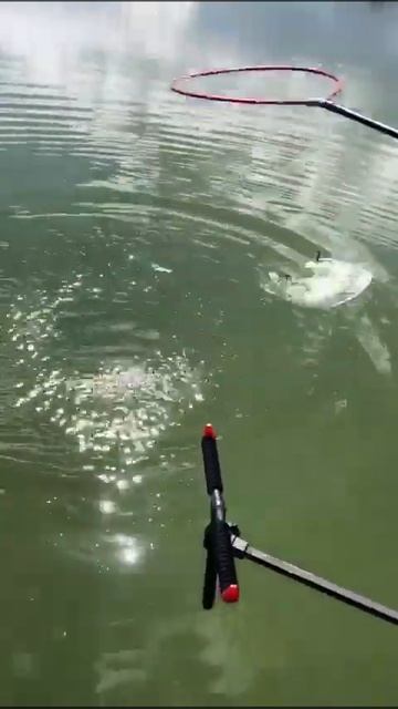 РК Три Пескаря! Video 2024 08 11 at 13 57 19 смотреть онлайн