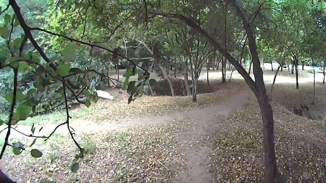 Лето 2022 смотреть онлайн