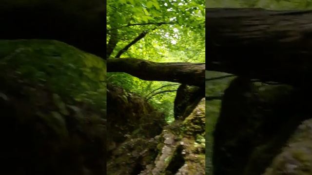 #garage234#коля#top #rek #рекомендации #статистика #адыги #даховская#руфабго #мостик #горыкавказа смотреть онлайн