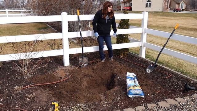 Garden Answer Plants a Blue Spruce Tree смотреть онлайн