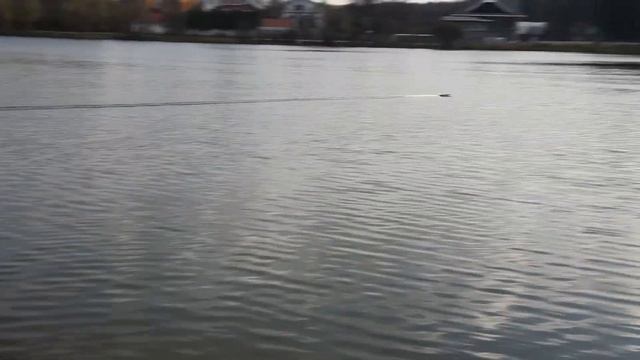 FSR ECO Expert тест