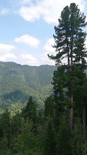 Горный Алтай, Телецкое озеро, парад кораблей 2021г смотреть онлайн