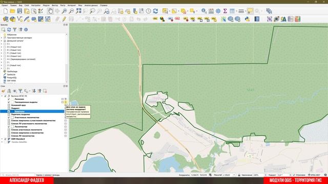 Как разобраться с данными из лесного реестра в разных системах координат в QGIS? смотреть онлайн