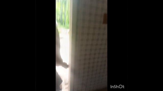 пляж на камнях бердск смотреть онлайн