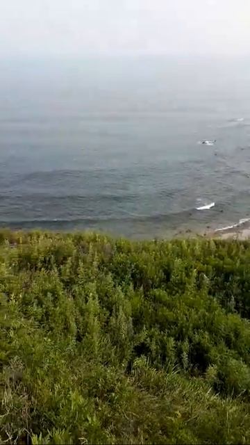 Бухта десантная смотреть онлайн