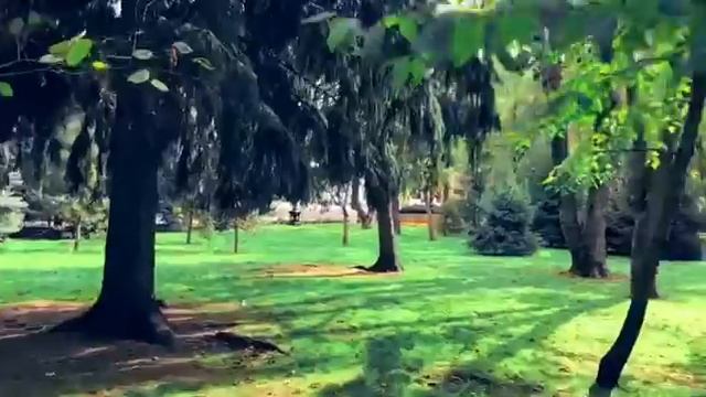 Осень, Лабинск. смотреть онлайн