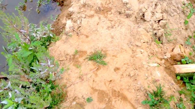 Водяная мельница. Лаос. смотреть онлайн