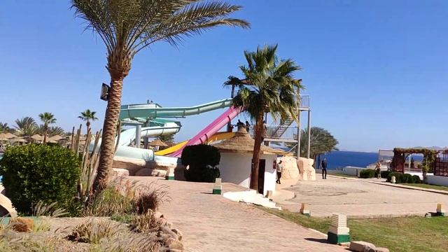 Pyramisa Sharm El Sheikh 5* 2020. Полный обзор отеля