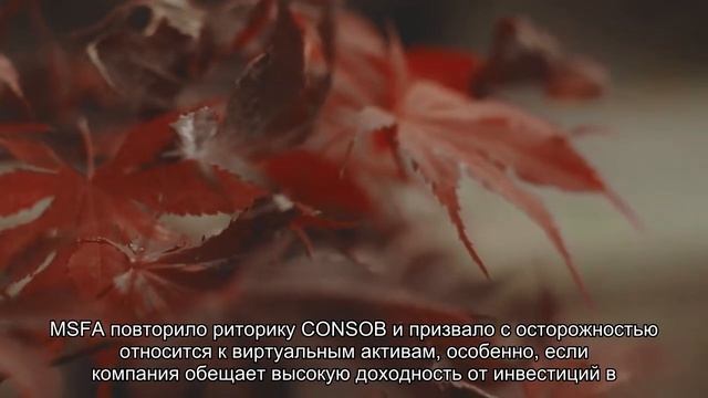 Регуляторы Мальты и Италии обвинили Binance в работе без разрешения смотреть онлайн