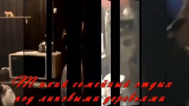 Семейный отдых смотреть онлайн