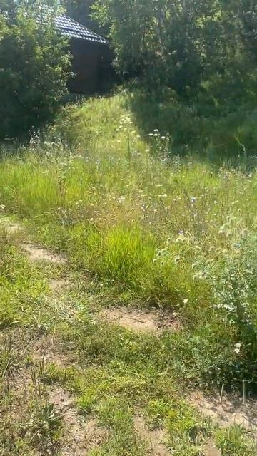 Гидатлинская долина. Гостевой дом "Шале - Сангода" смотреть онлайн