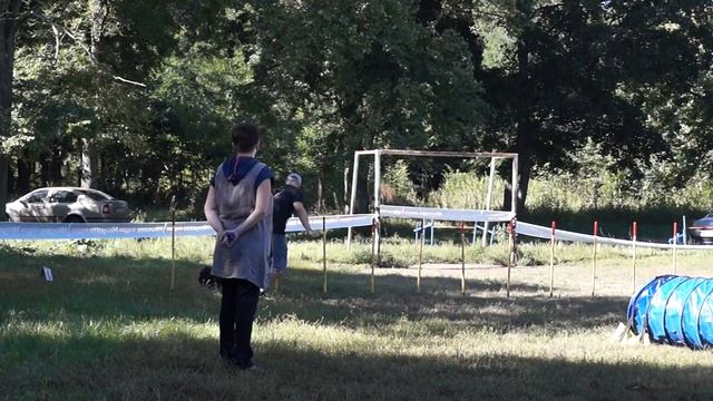 Молчанов Александр / Цвергшнауцер Беня / Джампинг смотреть онлайн