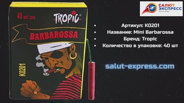 Петарды Мини Барбаросса | Сороковки 40 шт | Фитильные петарды | Купить в Минске | Salut-Express смотреть онлайн
