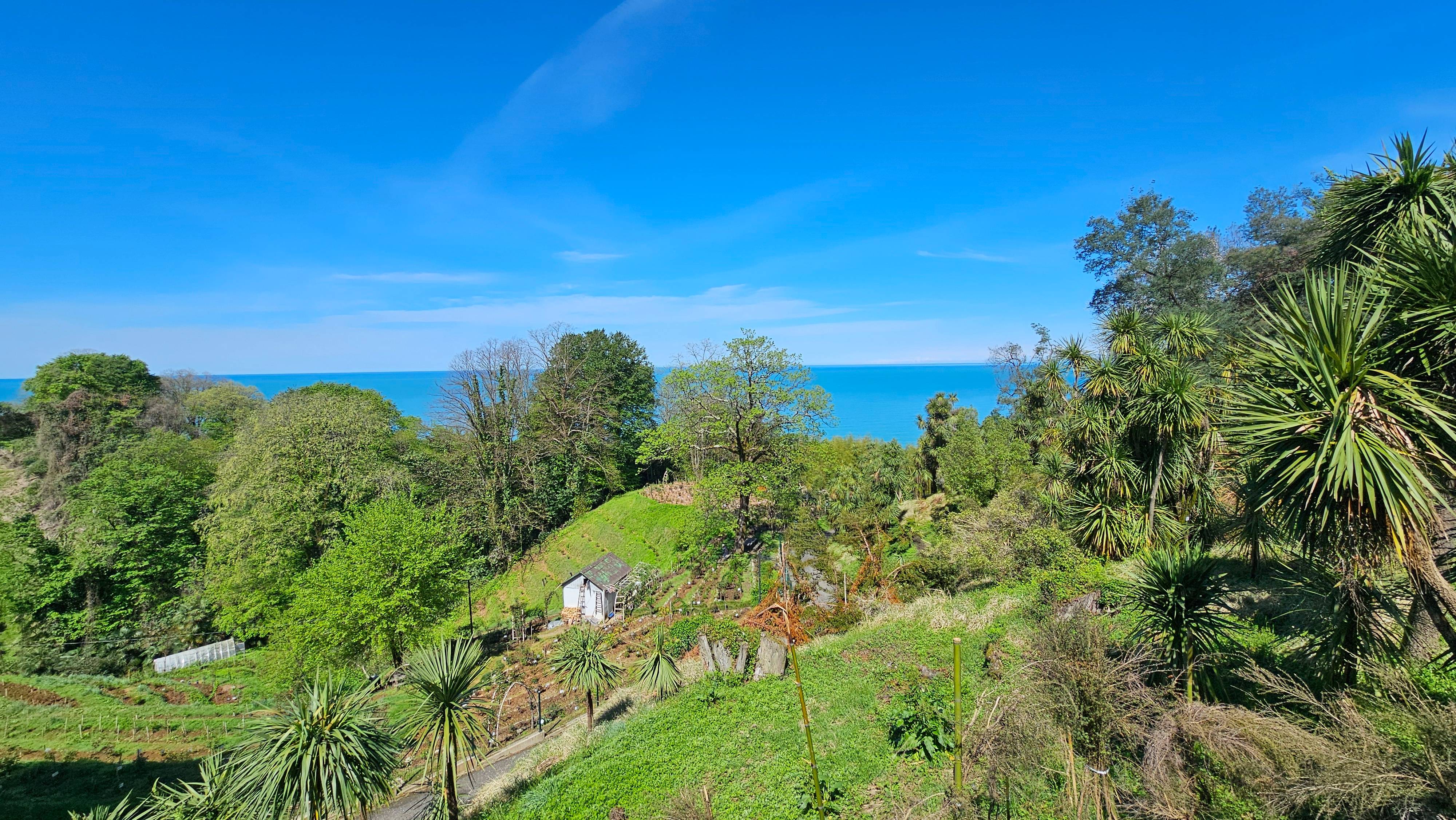 Апрельская Грузия