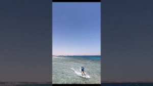 Обзор отеля TROPITEL SAHL HASHEESH 5*. Отдых в Египте август 2024.