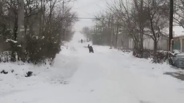 На саночках с горы смотреть онлайн