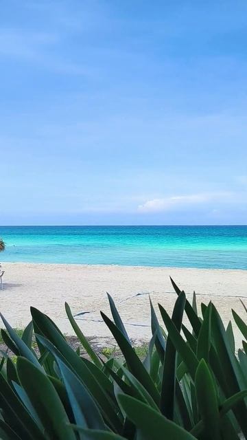 Пляж отеля Colonial Cayo Coco, Куба. октябрь 2023 г. смотреть онлайн