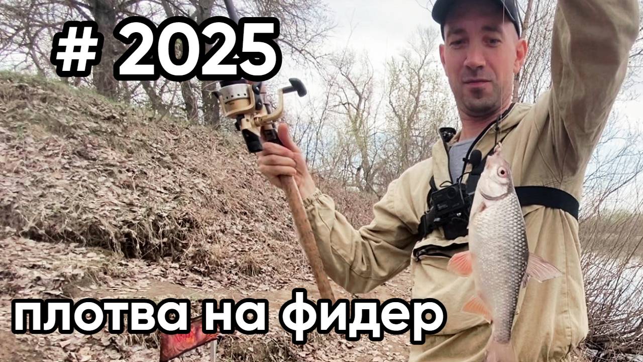 Ловля плотвы на фидер в запрет. Рыбалка в Самарской области 2025.