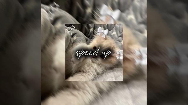 Ирина Кайратовна - Айдахар | налетели как саранча#speedup #ускореннаямузыка #музыка#иринакайратовна смотреть онлайн