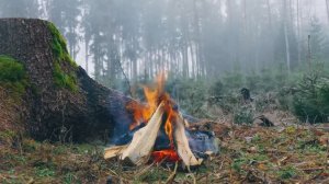 Костер в туманном лесу 🌲🔥 Аутентичные звуки природы