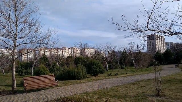Парк Ореховая роща в Анапе, декабрь 2017г смотреть онлайн