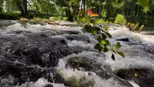 Прогулка по реке Судогда в посёлке Муромцево 09.06.2024 смотреть онлайн