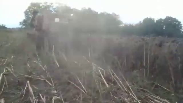Комбайн НИВА 20 09 2021 смотреть онлайн