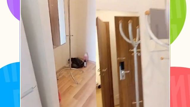 Уборка в одной из квартир СПБ смотреть онлайн