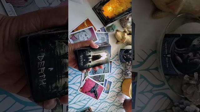 прямой эфир с таро смотреть онлайн