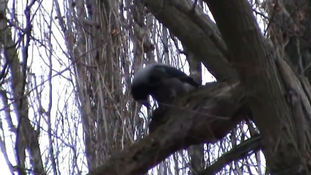 НОВАЯ КАХОВКА ГОРОД В КОТОРОМ МЫ ЖИВЕМ 9 04 2019 смотреть онлайн