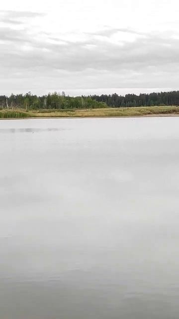 Щелочное озеро в селе Светлом смотреть онлайн