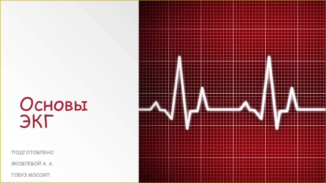 Основы ЭКГ