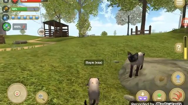 Прокачали кошку. Убиваем мини - босса. смотреть онлайн