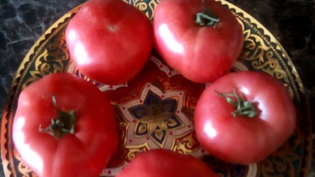Узбекский гостинец смотреть онлайн