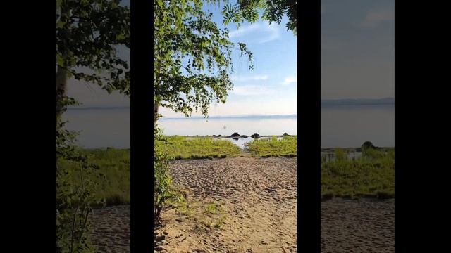 Увильды,песчанка,озеро обмелело смотреть онлайн