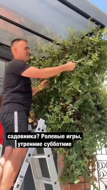 Открыл кафе - научился делать всё! смотреть онлайн