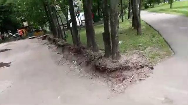 20.06.2022 Бибирево life смотреть онлайн