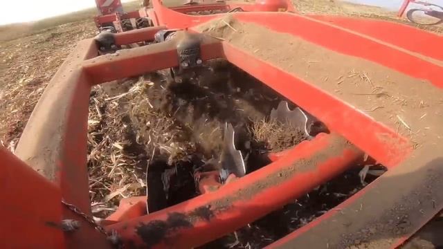 New Holland T8.390 + Horsch Tiger 3MT in corn смотреть онлайн