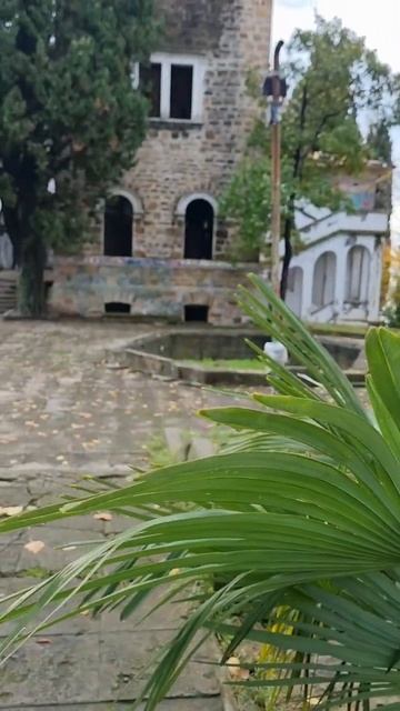 Сочинский дом с привидениями - заброшенная дача полковника Квитко🏚 смотреть онлайн