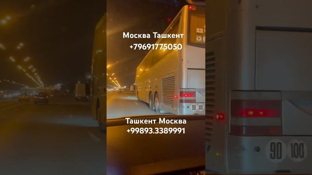 Москва Ташкент автобус #moskva #tashkent #avtobus #автобус смотреть онлайн