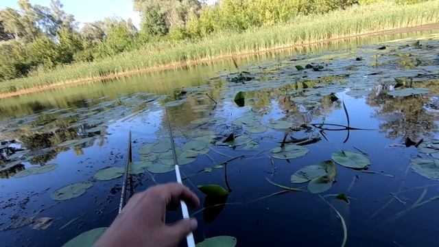 КІЛОГРАМОВИЙ КАРАСЬ ДИКИХ МІСЦЬ. 🐟🐟Рибалка на поплавок.🎣 Ловля карася на удочку. смотреть онлайн