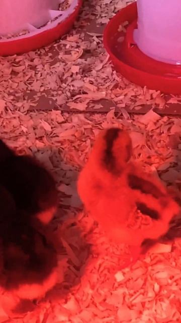 July 18, 2024 смотреть онлайн