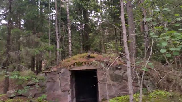 Финляндия-леса 2015 смотреть онлайн