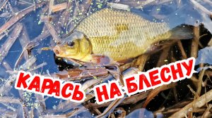 Наноколебалка "Плавунец" - карась и плотва на спиннинг ультралайт