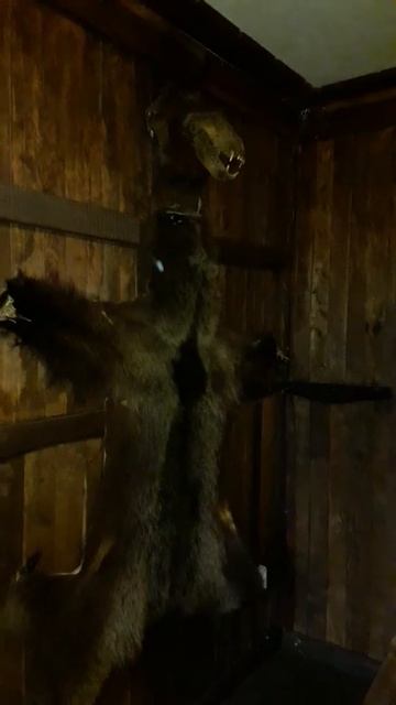 Плазмоиды и духи в отеле "Беловодье" смотреть онлайн