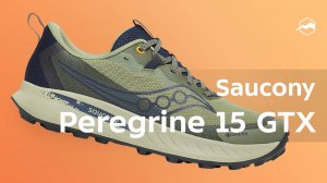 Кроссовки Saucony Peregrine 15 Gtx