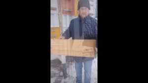 Павильон  для пчел из контейнера