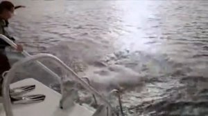 Обучение дайвингу (PADI OWD)- часть 6